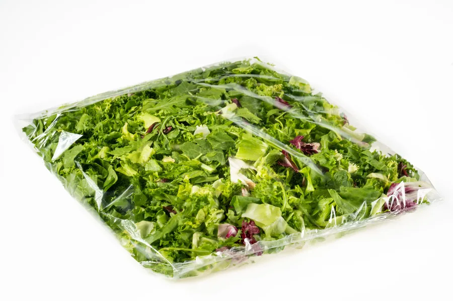 Salatmix Premium Gastronomie-Gebinde frisch – Convenience GmbH