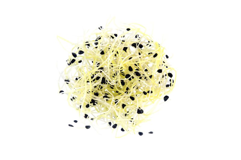 Fresh garlic sprouts – Convenience GmbH