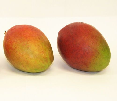 Fresh imported mango – Convenience GmbH