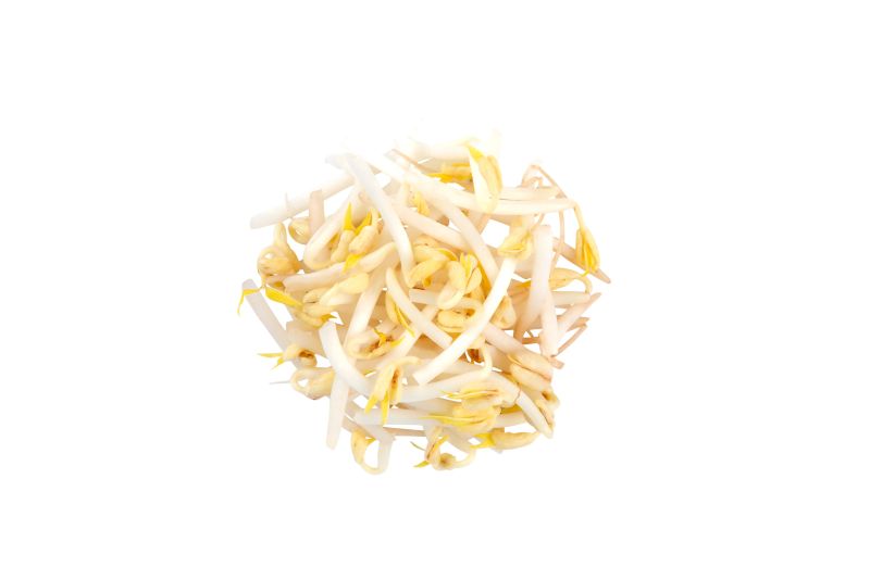 Fresh mung bean sprouts – Convenience GmbH