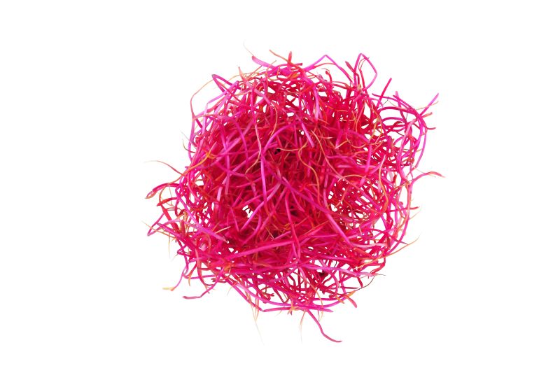 Fresh red beet sprouts – Convenience GmbH