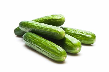 Fresh regional cucumbers – Convenience GmbH
